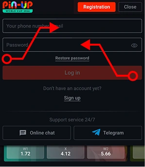 where to fill login details